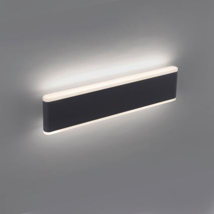 Paul Neuhaus 9484-13 - LED Himmennettävä ulkoseinävalo ELSA 2xLED/9W/230V IP65