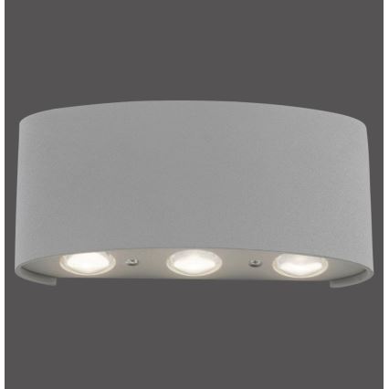 Paul Neuhaus 9488-21 - LED-ulkoseinävalo CARLO 6xLED/0,8W/230V IP54