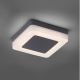 Paul Neuhaus 9491-13 - LED Ulkovalo FABIAN LED/12,6W/230V IP54