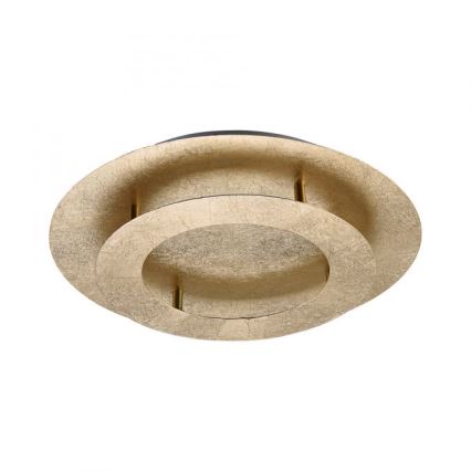 Paul Neuhaus 9620-12 - LED-kattovalo NEVIS LED/18W/230V kulta