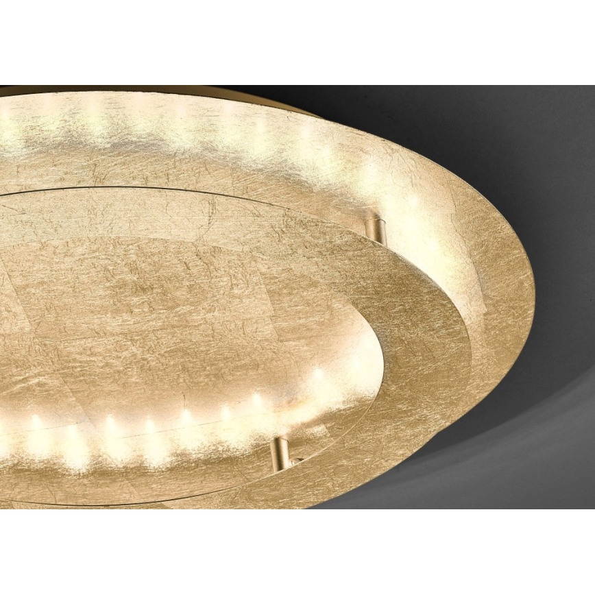 Paul Neuhaus 9621-12 - LED-kattovalo NEVIS LED/24W/230V