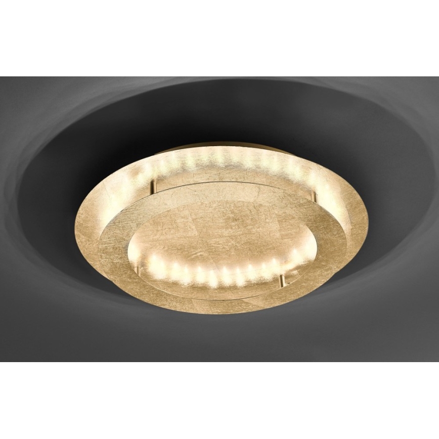 Paul Neuhaus 9621-12 - LED-kattovalo NEVIS LED/24W/230V