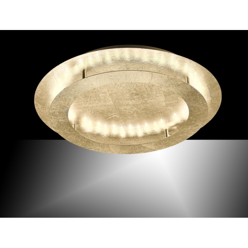 Paul Neuhaus 9621-12 - LED-kattovalo NEVIS LED/24W/230V