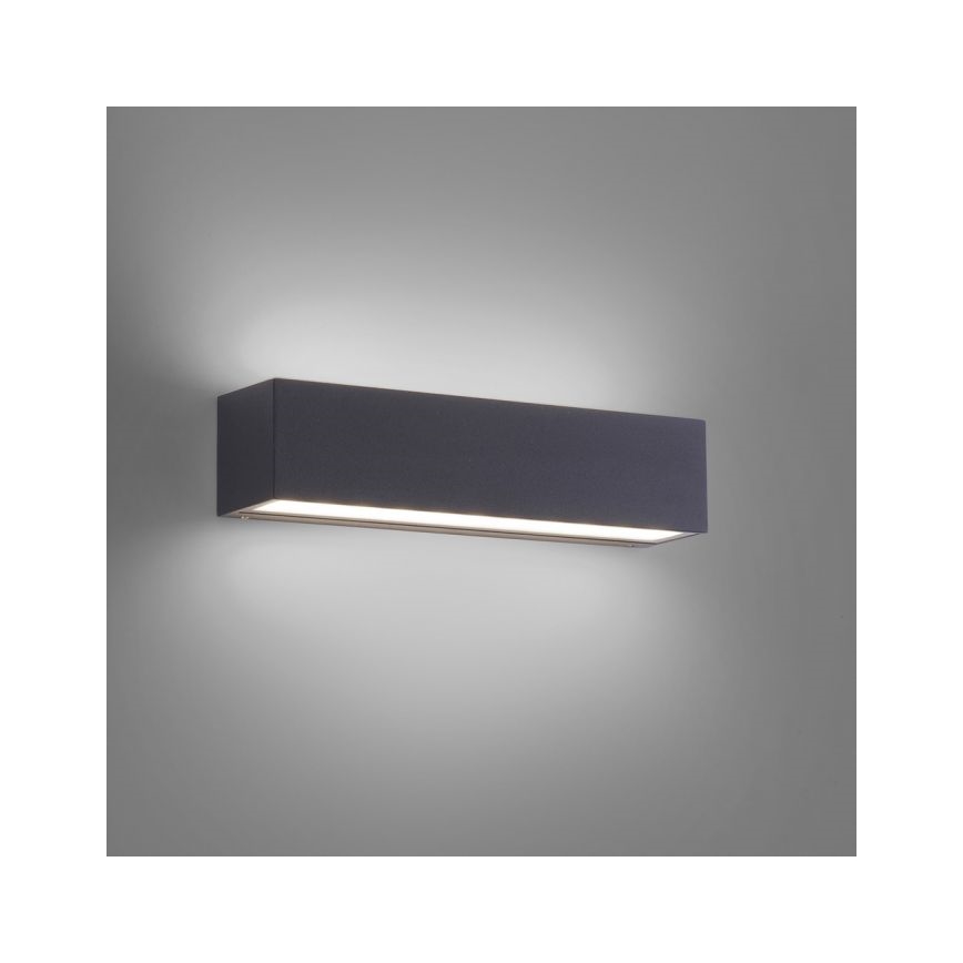 Paul Neuhaus 9675-13 - LED Ulkoseinävalo ROBERT 2xLED/9W/230V IP65