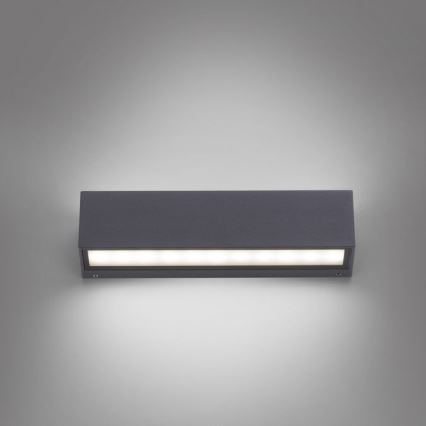 Paul Neuhaus 9675-13 - LED Ulkoseinävalo ROBERT 2xLED/9W/230V IP65