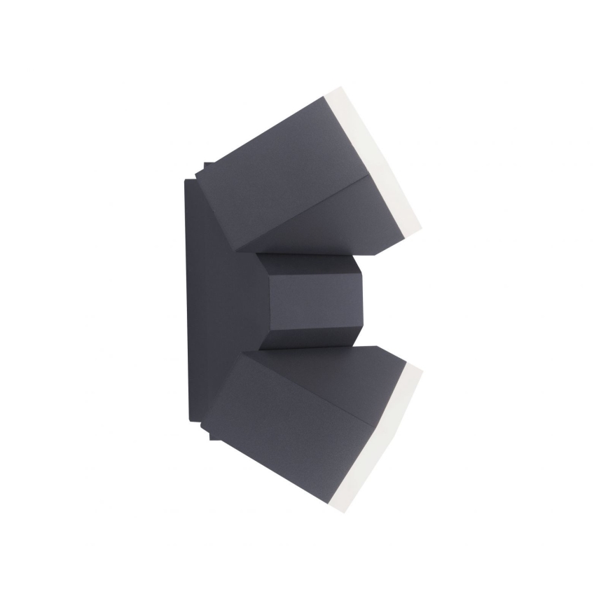 Paul Neuhaus 9722-13 - LED Ulkoseinävalo RYAN 2xLED/5W/230V IP54