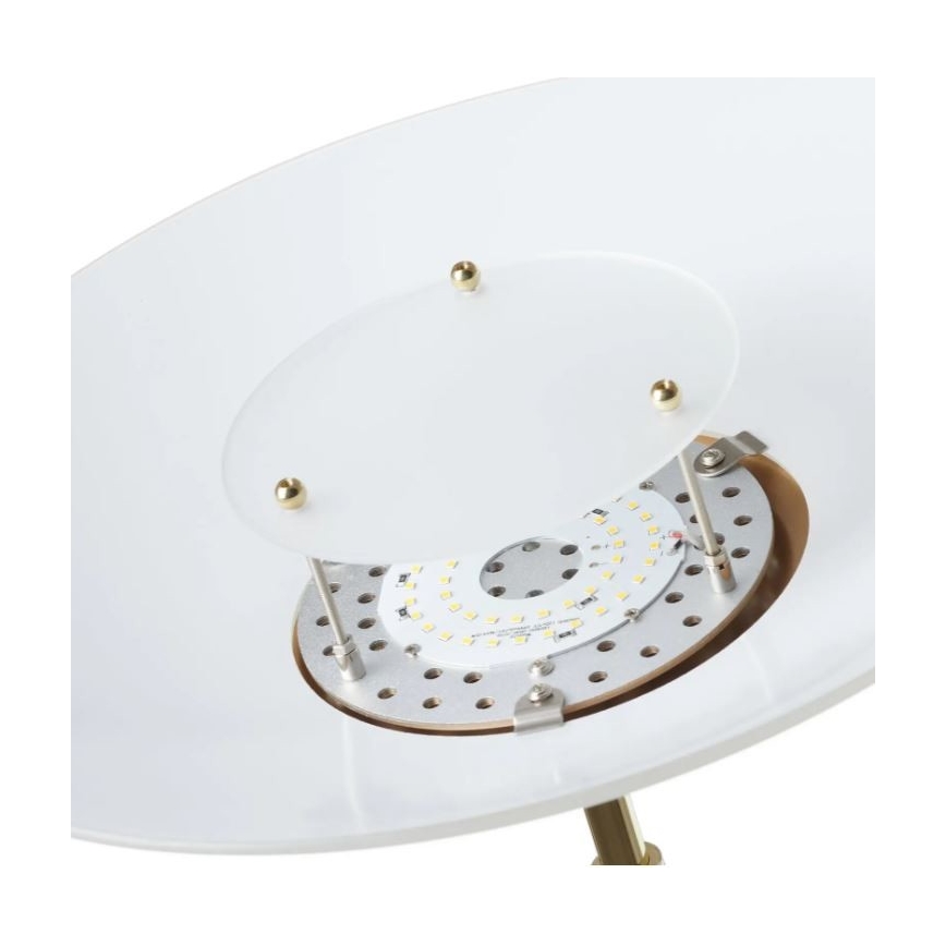 Paul Neuhaus - 655-60 - Himmennettävä LED-lattiavalaisin ALFRED 1xLED/28W/230V+1xLED/4W/230V messinki