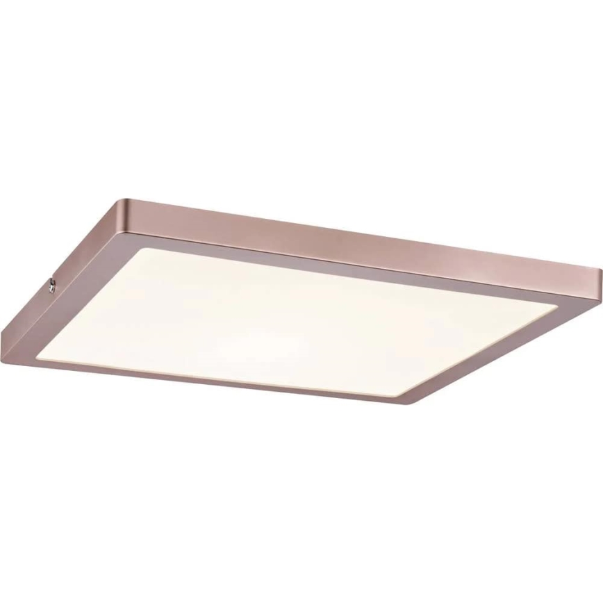 Paulmann 70873 - LED/24W Himmennyspaneeli ATRIA 230V 2700K 30x30 cm Ruusukulta