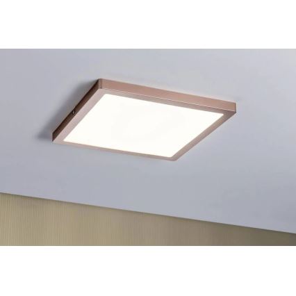 Paulmann 70873 - LED/24W Himmennyspaneeli ATRIA 230V 2700K 30x30 cm Ruusukulta