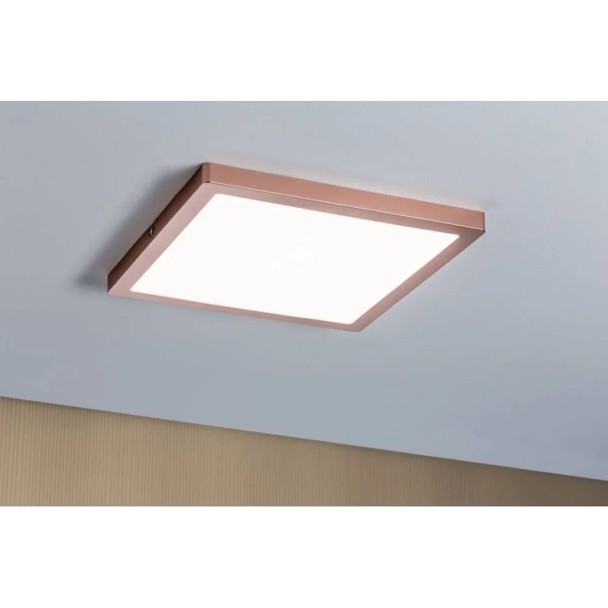 Paulmann 70941 - LED/20W Liitetty paneeli ATRIA 230V 4000K 30x30 cm Ruusukulta
