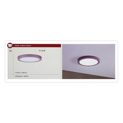 Paulmann 70989 - LED/22W Kattovalo ABIA 230V violetti