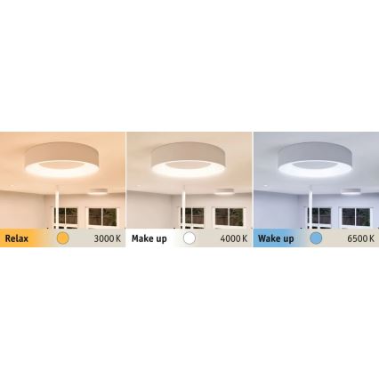 Paulmann 78947 - LED/23W IP44 Kylpyhuoneen kattovalaisin CASCA 230V