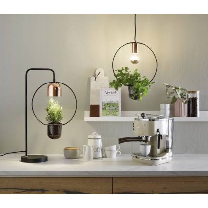 Paulmann 79748 - 1xE27/20W Kattokruunu narulla TASJA 230V