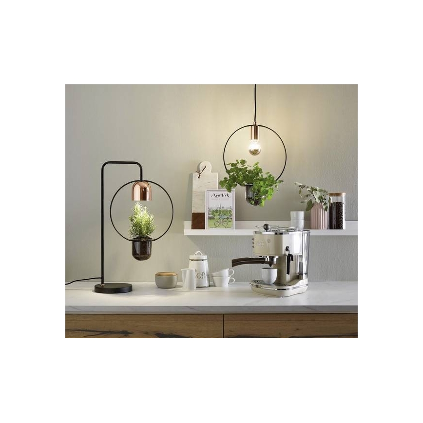 Paulmann 79748 - 1xE27/20W Kattokruunu narulla TASJA 230V