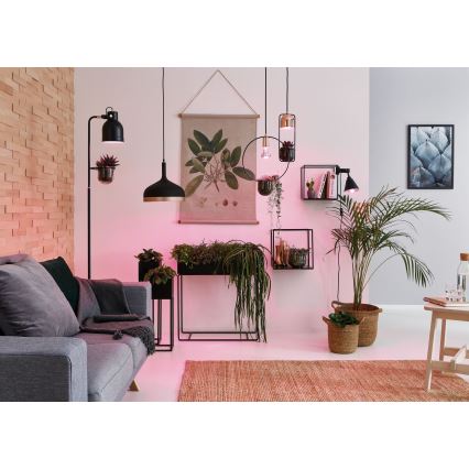 Paulmann 79748 - 1xE27/20W Kattokruunu narulla TASJA 230V