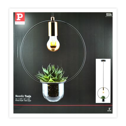 Paulmann 79748 - 1xE27/20W Kattokruunu narulla TASJA 230V