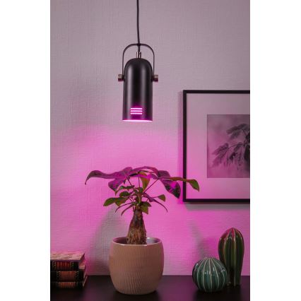 Paulmann 79766 - LAVEA LED RGBW riippuvalaisin vaijerilla, 1xE27/9W, 230V, musta