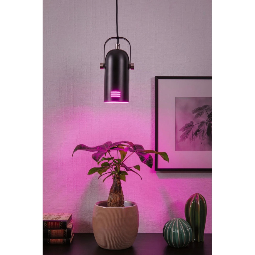 Paulmann 79766 - LAVEA LED RGBW riippuvalaisin vaijerilla, 1xE27/9W, 230V, musta