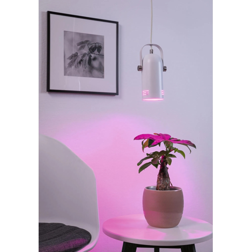 Paulmann 79767 - LAVEA LED RGBW riippuvalaisin kaapelilla 1xE27/9W 230V valkoinen