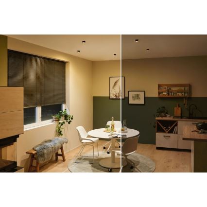 Paulmann 93379 - SETTI 3xLED/6W IP44 Himmennettävä kylpyhuoneen kattovalaisin GIL 230V