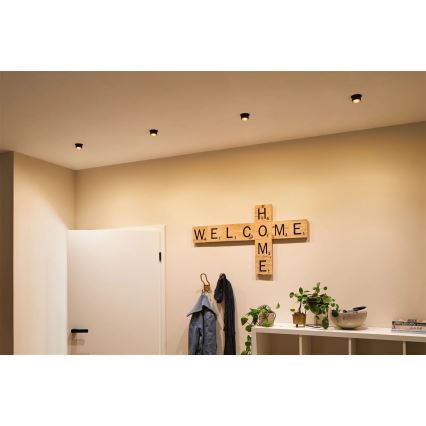 Paulmann 93379 - SETTI 3xLED/6W IP44 Himmennettävä kylpyhuoneen kattovalaisin GIL 230V