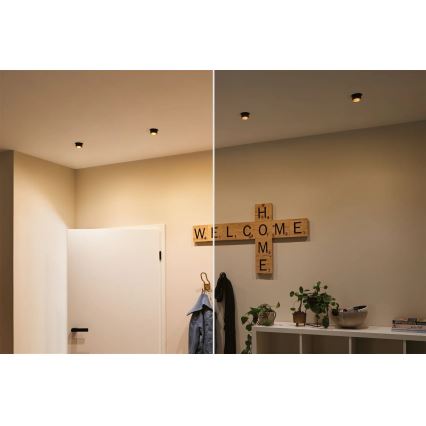 Paulmann 93379 - SETTI 3xLED/6W IP44 Himmennettävä kylpyhuoneen kattovalaisin GIL 230V