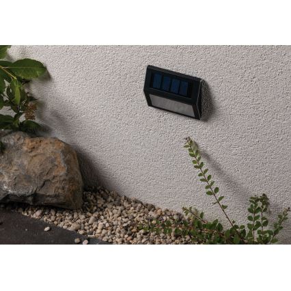 Paulmann 94234 - LED/0,05W IP44 Ulkokäyttöön tarkoitettu aurinkokennovalo DAYTON 1,2V 400 mAh, jossa on sensori