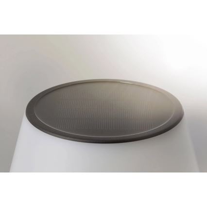 Paulmann 94309 - LED/0,8W IP44 Himmennettävä aurinko lamppu LILLESOL 3,7V 2000 mAh