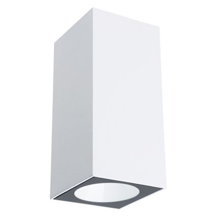 Paulmann 94330 - 2xLED/2,8W IP44 Ulkoseinävalaisin FLAME 230V valkoinen