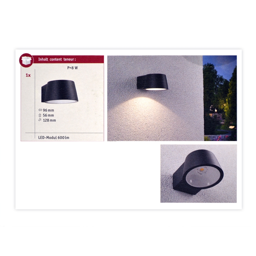 Paulmann 94452 - LED/6W IP44 Ulkoseinävalaisin CAPEA 230V