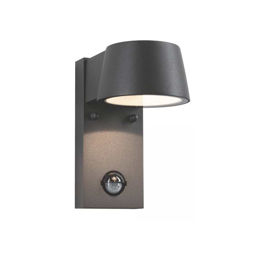 Paulmann 94453 - LED/6W IP44 Ulkoseinävalaisin anturilla CAPEA 230V