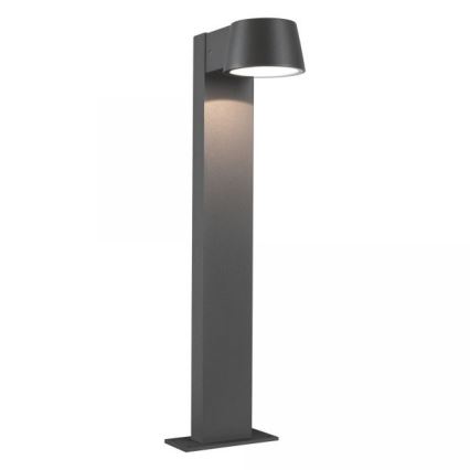 Paulmann 94454 - LED/6W IP44 Ulkovalaisin CAPEA 230V
