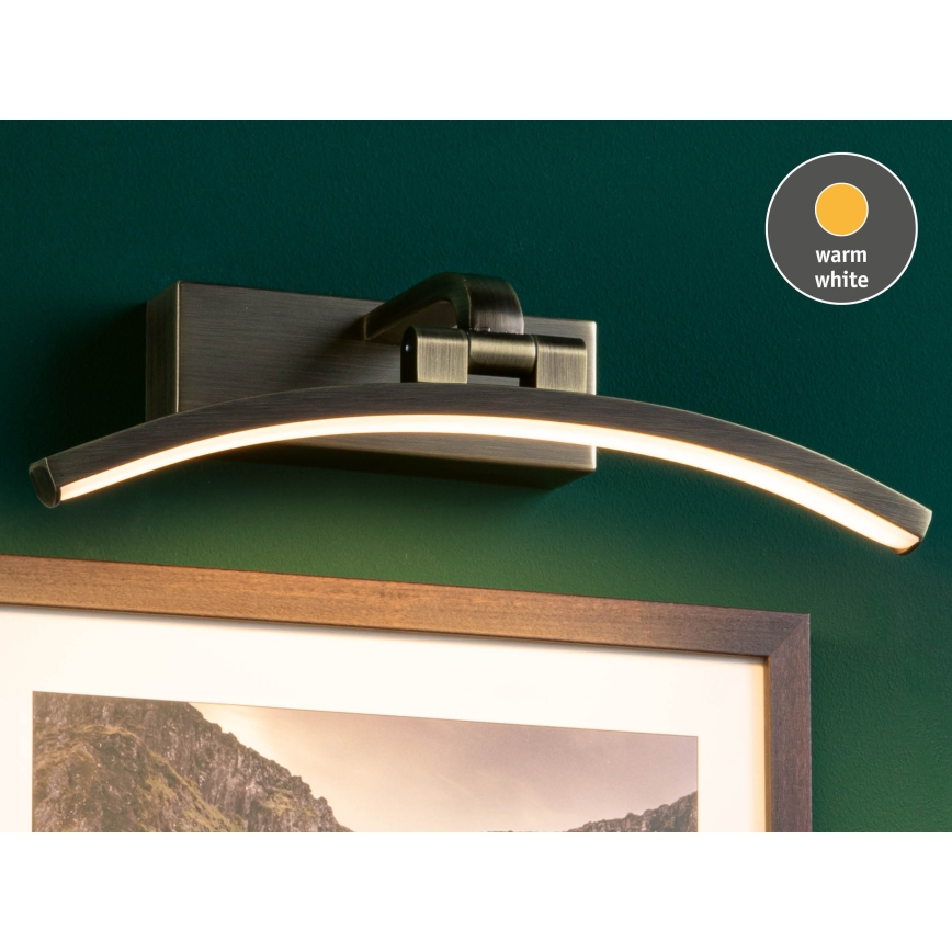 Paulmann 95559 - LED/6W Tauluvalaisin BENTO 230V 30 cm messinki