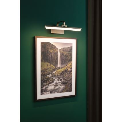 Paulmann 95569 - LED/9,5W Taulunvalaisin RENAN 230V 40 cm messinki