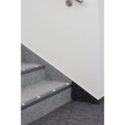 Paulmann 98892 - Laajennus SETTI 5X LED/0,16W IP67 upotettava valo ulos MICRO 12V