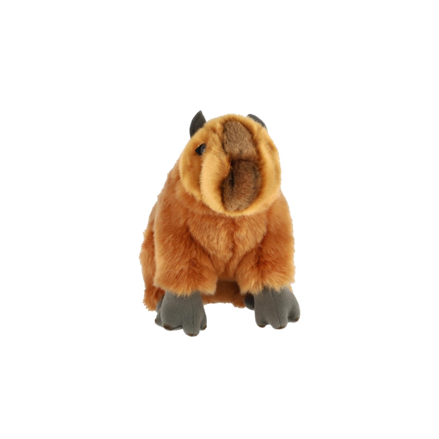 Pehmolelu kapybara, 25 cm