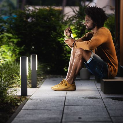 Philips - Ulkopollarivalo 2xLED/4,5W IP44