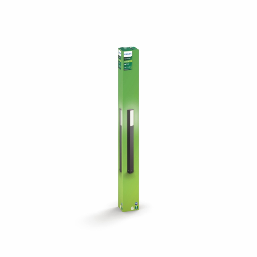 Philips - Ulkopollarivalo 2xLED/4,5W IP44