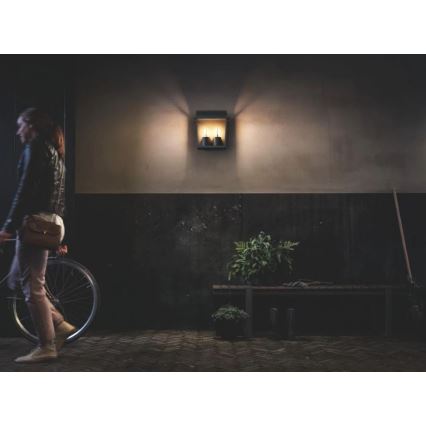 Philips - Ulkoseinävalaisin 2xE27/42W/230V IP44