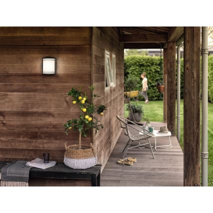 Philips - Ulkoseinävalaisin LED/6W/230V IP44