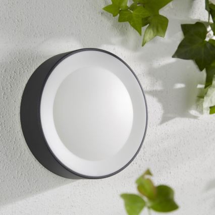 Philips - LED RGBW Himmennettävä ulkoseinävalaisin Hue DAYLO LED/15W/230V 2000-6500K IP44