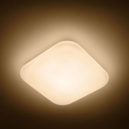 Philips - LED-kattovalaisin 1xLED/17W/230V 2700K