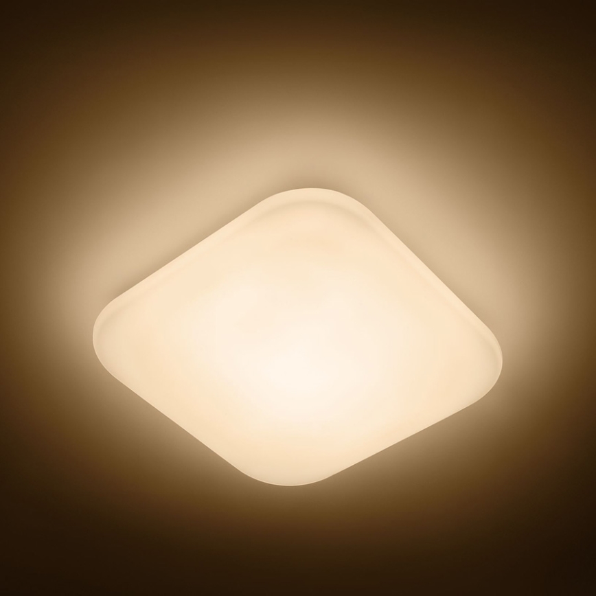 Philips - LED-kattovalaisin LED/17W/230V 2700K