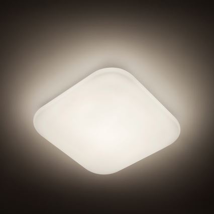 Philips - LED-kattovalaisin LED/17W/230V 4000K