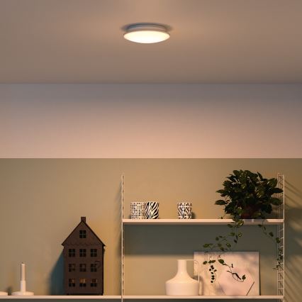 Philips - Kattovalo LED/10W/230V