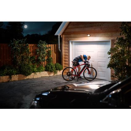 Philips 3389/41/99 - LED-valonheitin LED/20W/230V IP65