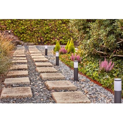 Philips - SETTI 3x LED Ulkovalaisin GARDENLINK LED/24W/230V 2700K IP44