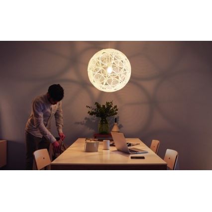 Philips - Riippukattovalaisin E27/60W/230V