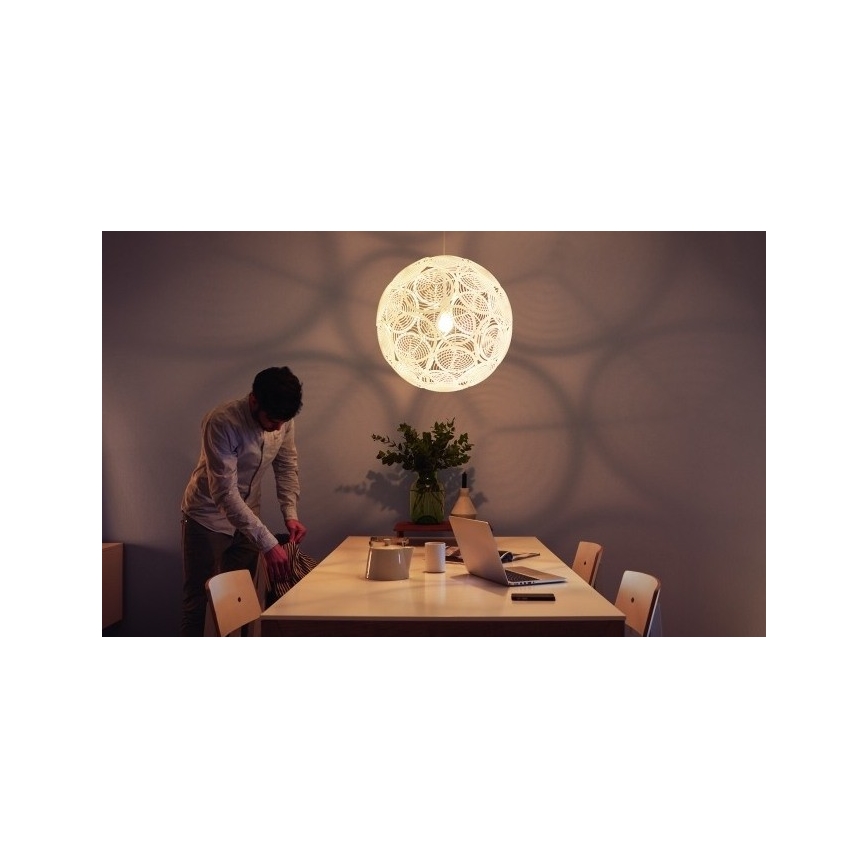 Philips - Riippukattovalaisin E27/60W/230V