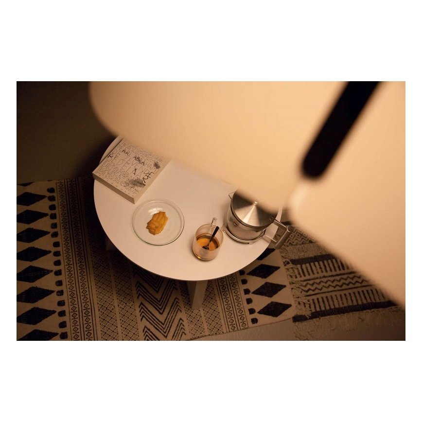 Philips - Riippukattovalaisin E27/60W/230V